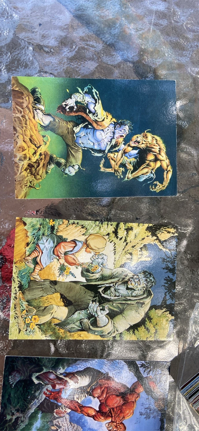 1993 SkyBox Master Series: The Art of Mike Ploog Trading Cards - photo 4