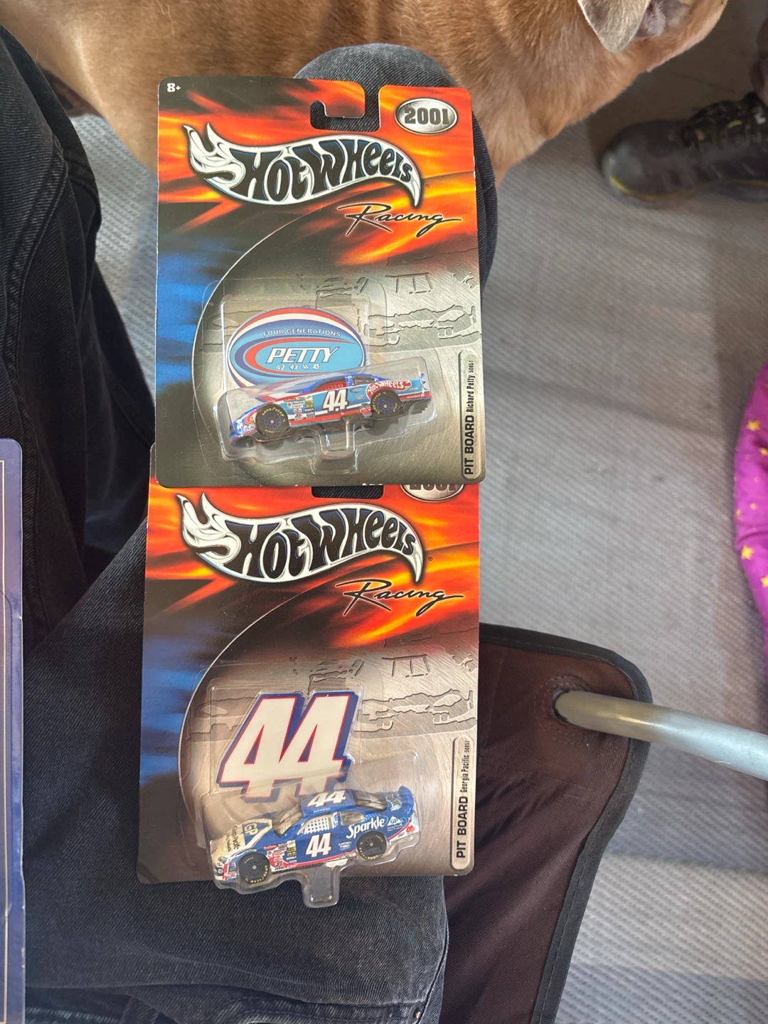 Hot Wheels Racing Richard Petty Diecast Car 2001