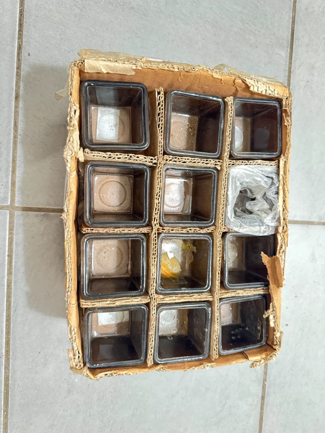 Syndicate Sales 2" x 2" x 2" Square Candle Holders (Set of 24)