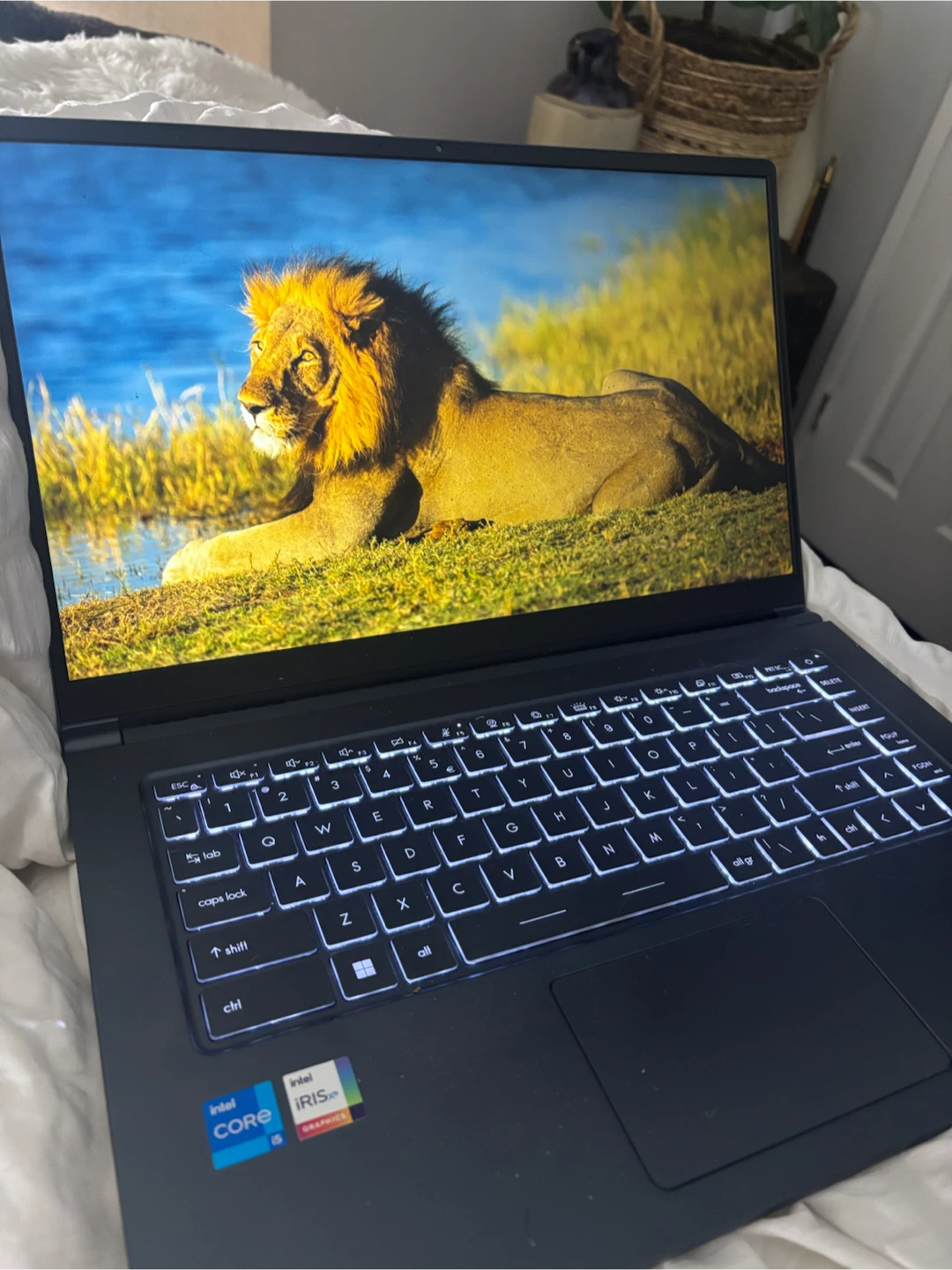 MSI Gaming Laptop with Intel Core i5 Processor