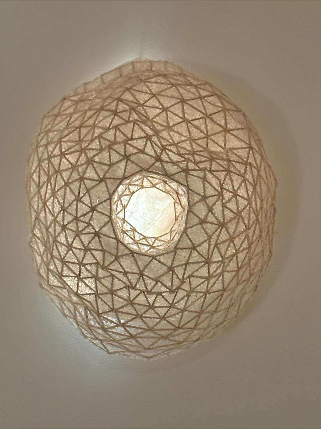 NOT A LAMP Textured Geodesic Globe Light Shade - photo 2