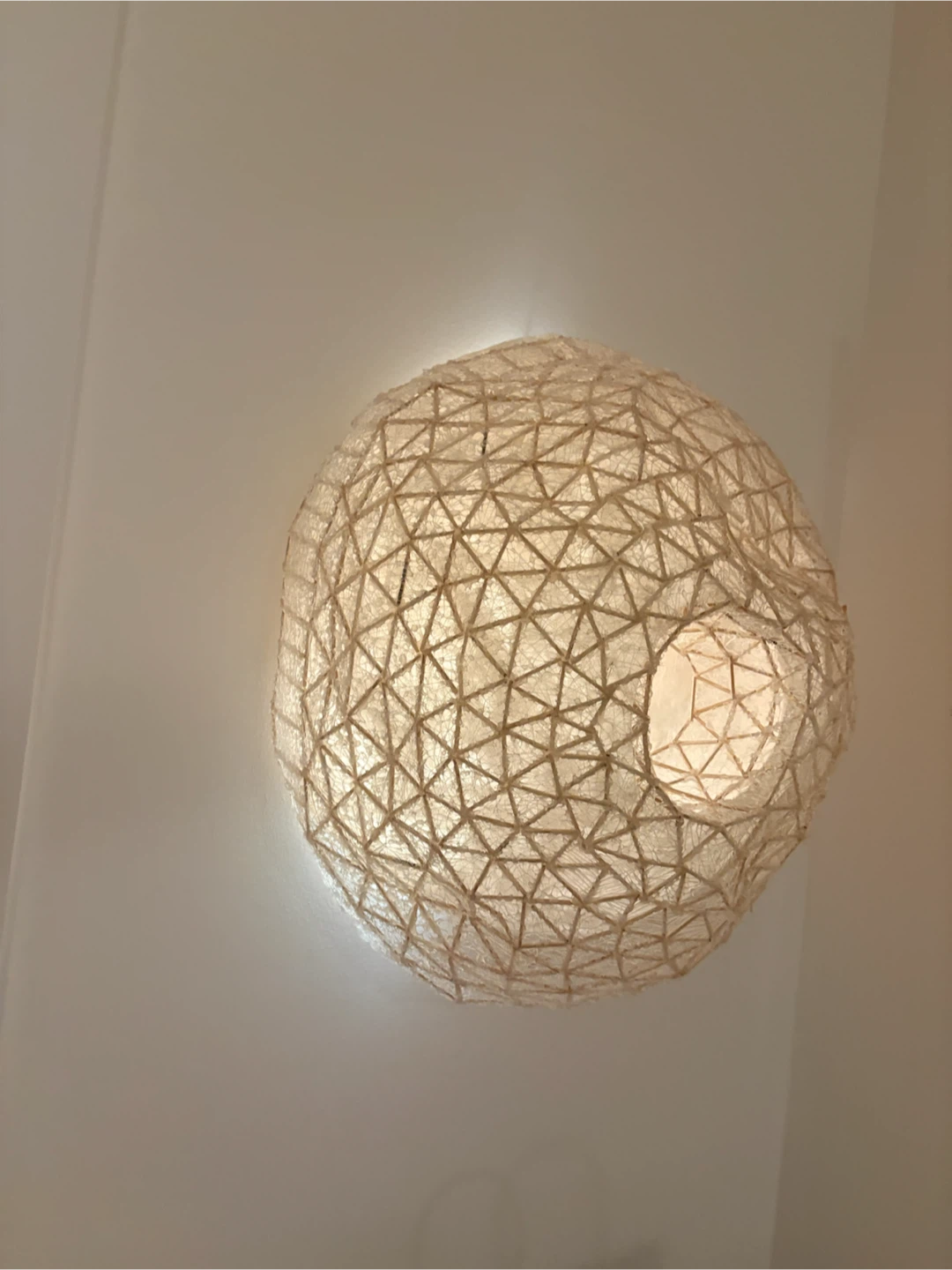 NOT A LAMP Textured Geodesic Globe Light Shade - photo 3