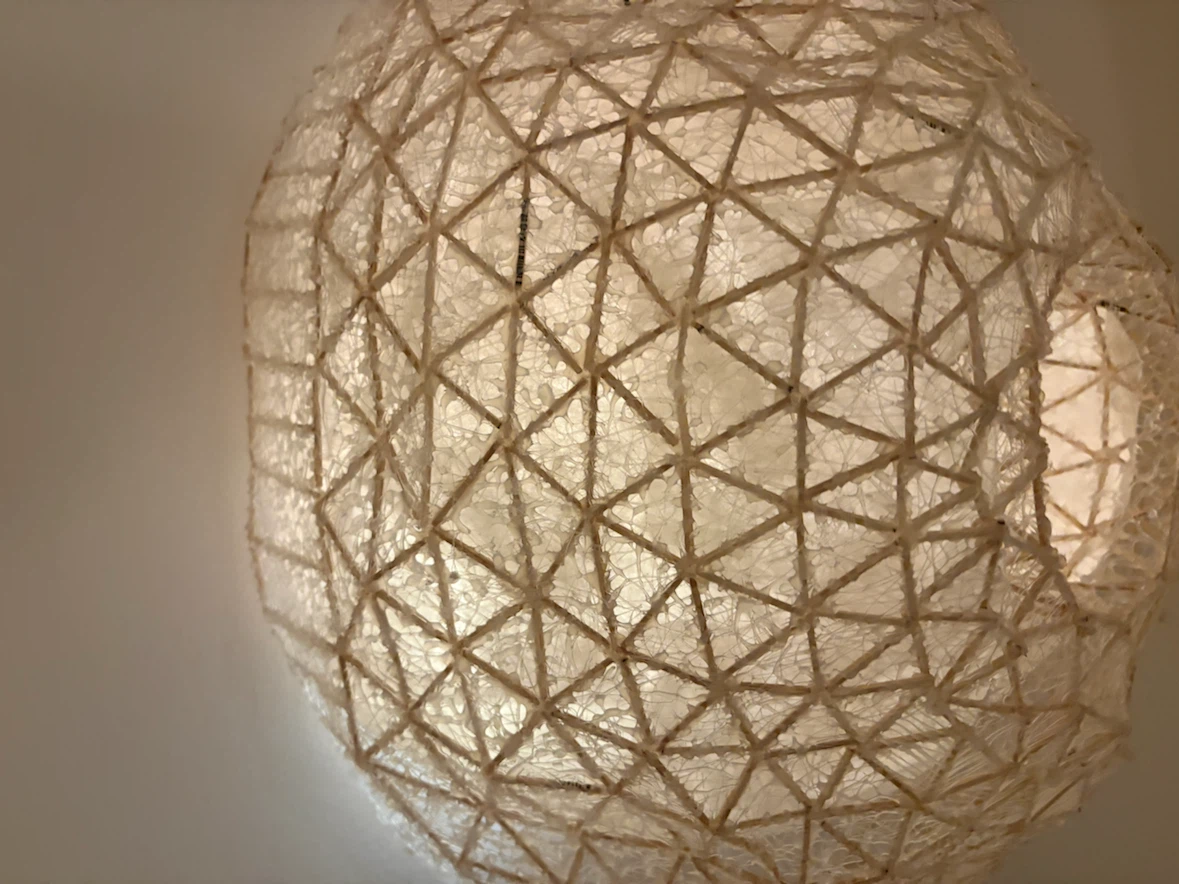 NOT A LAMP Textured Geodesic Globe Light Shade - photo 4