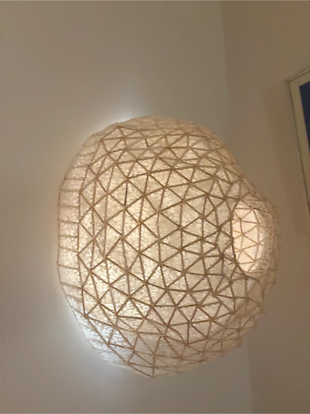 NOT A LAMP Textured Geodesic Globe Light Shade - photo 5