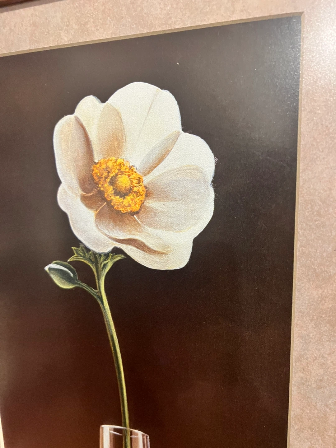Framed Floral Art prints: 1 for $10 / 4 for $30 - photo 3