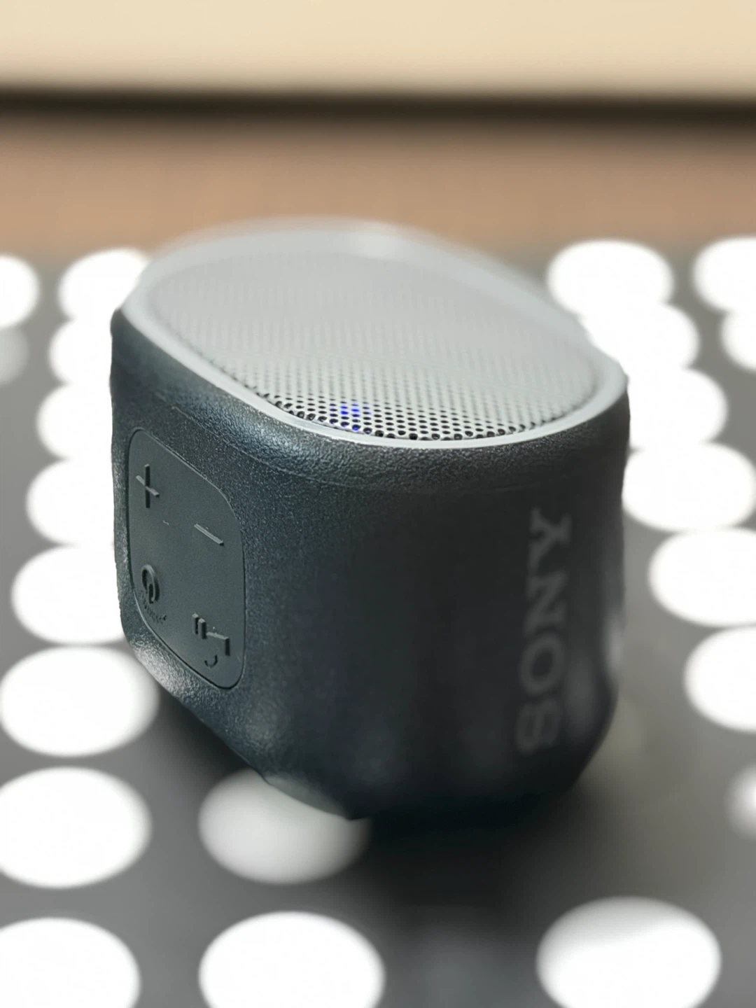 Sony Portable Bluetooth Speaker