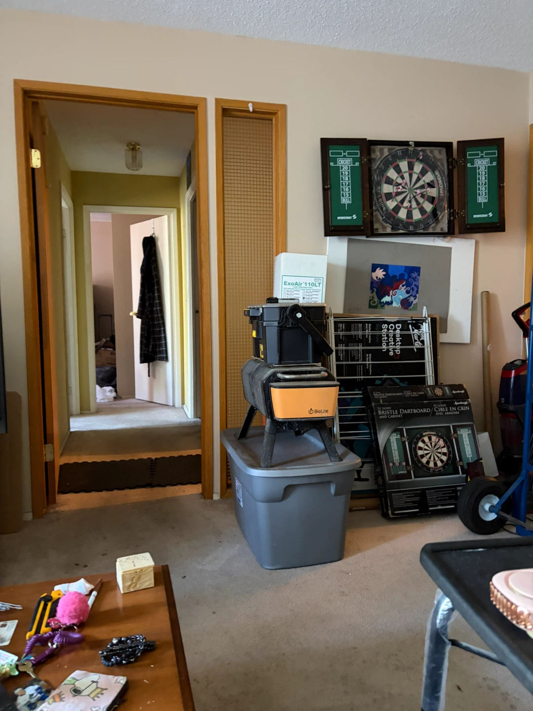 Dart board