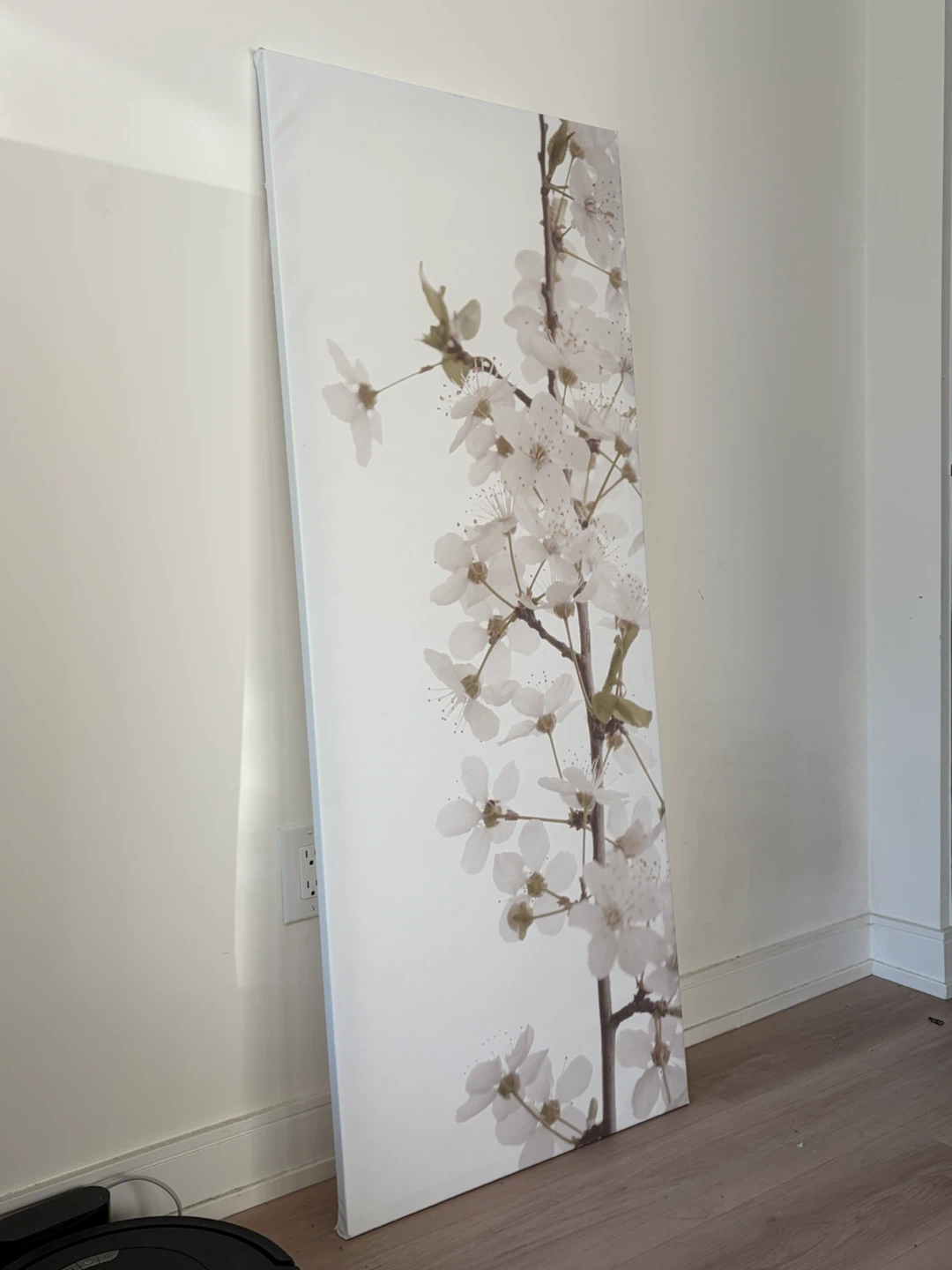 Canvas Wall Art Print - Cherry Blossoms