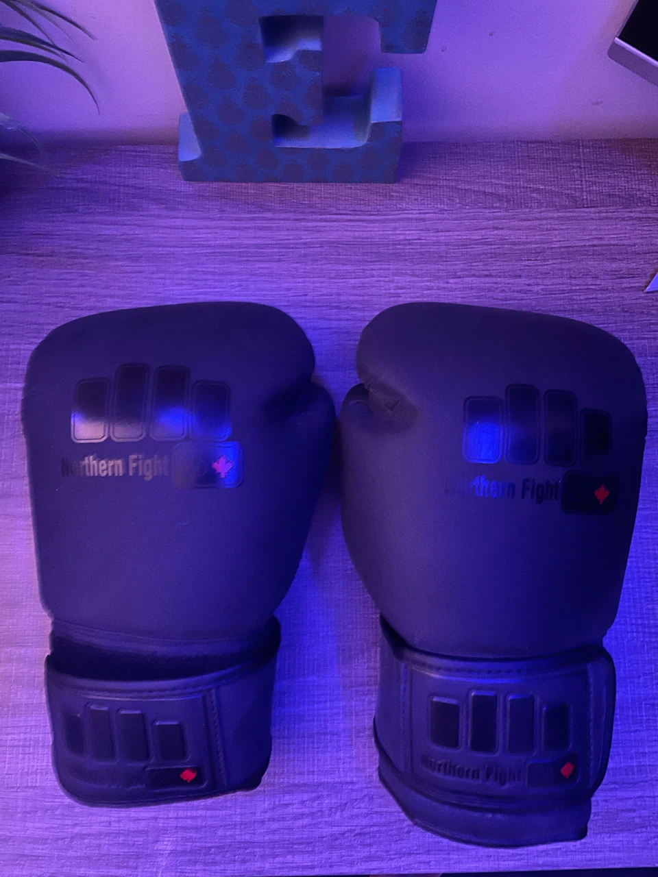 Northern Fight Co. Boxing Gloves with Mesh Bag