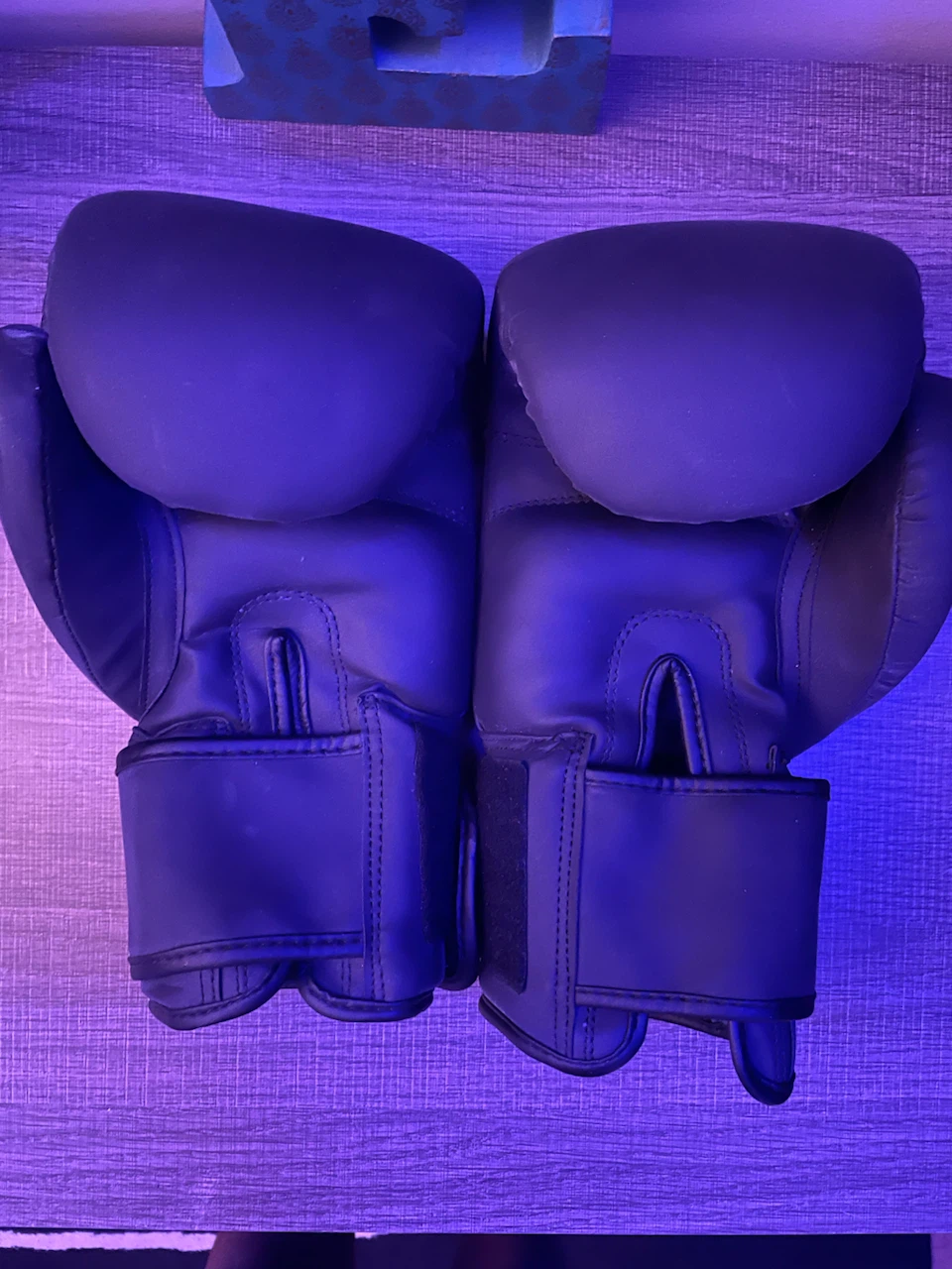 Northern Fight Co. Boxing Gloves with Mesh Bag - photo 2