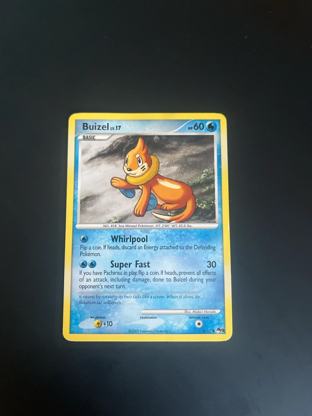 Buizel #6/17