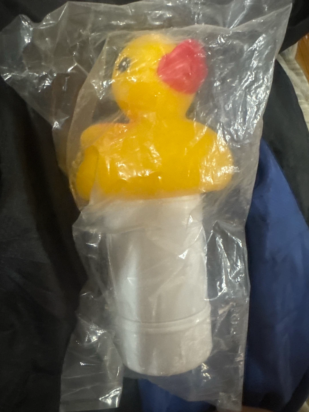 Duck Shaped Chlorine Floater