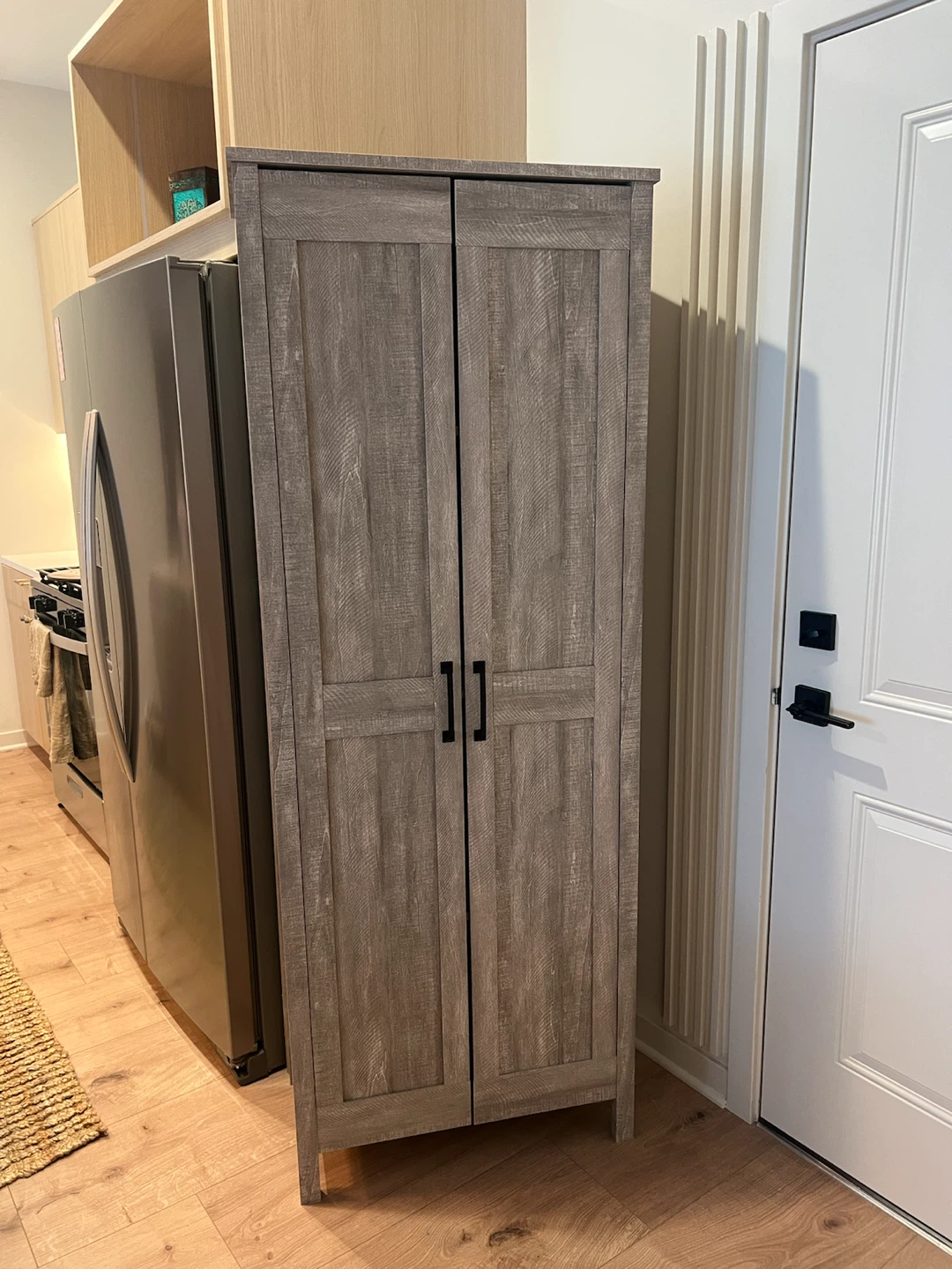 Spring Maple 2-Door Storage Cabinet with Panel Doors - photo 2