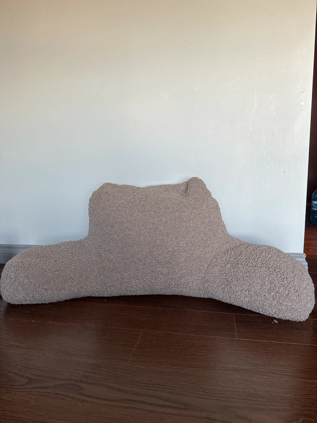 Cozy Pillow