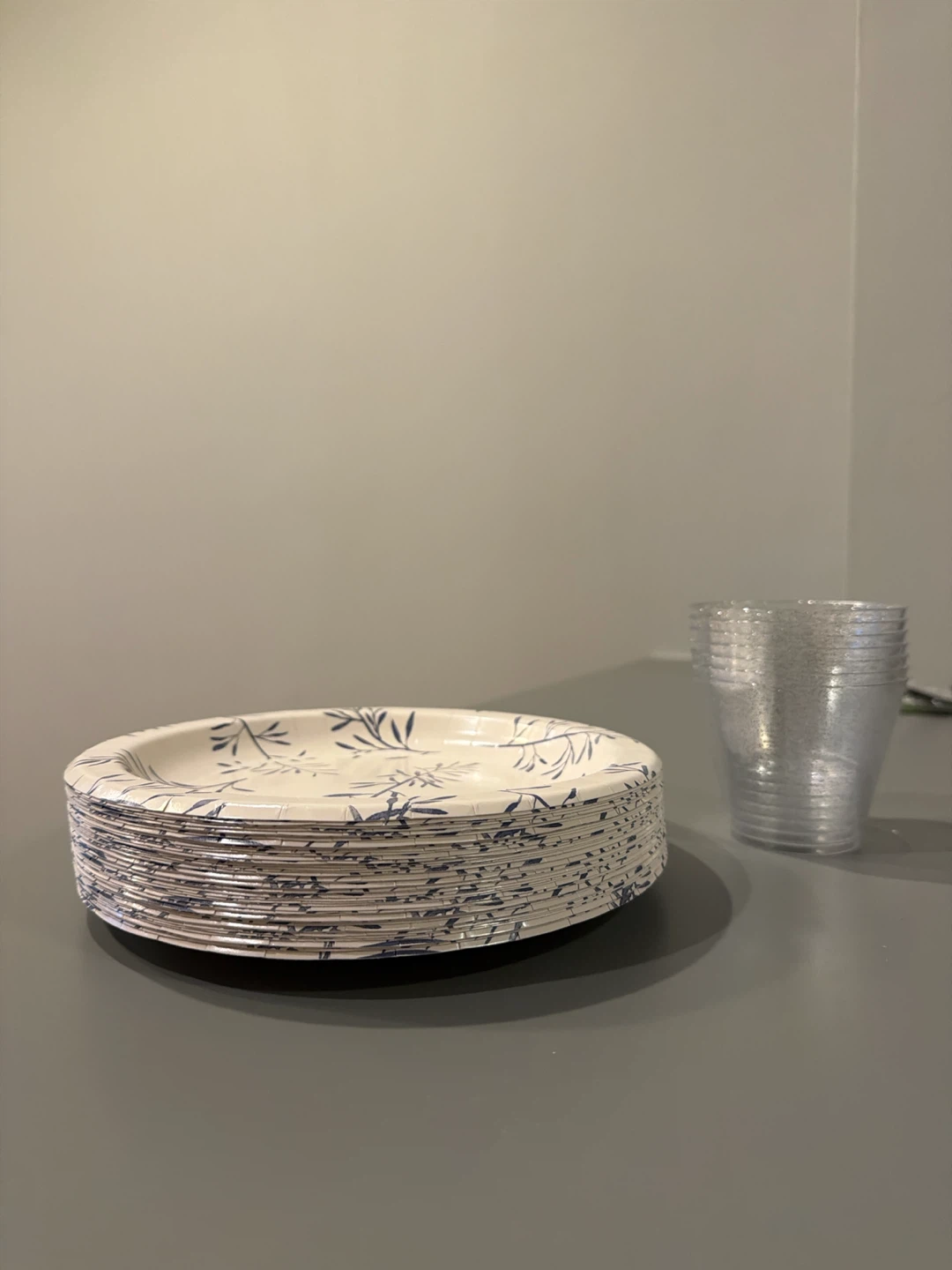 Paper Plates and Plastic Cups Set