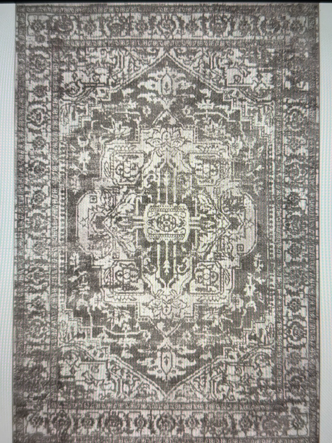 Trendy Faded Area Rug