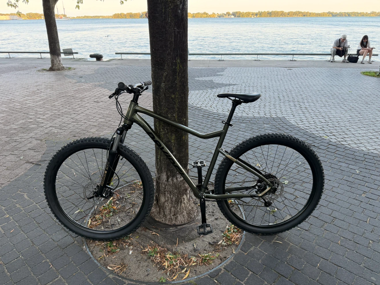 Devinci Riff Altus 9S Mountain Bike
