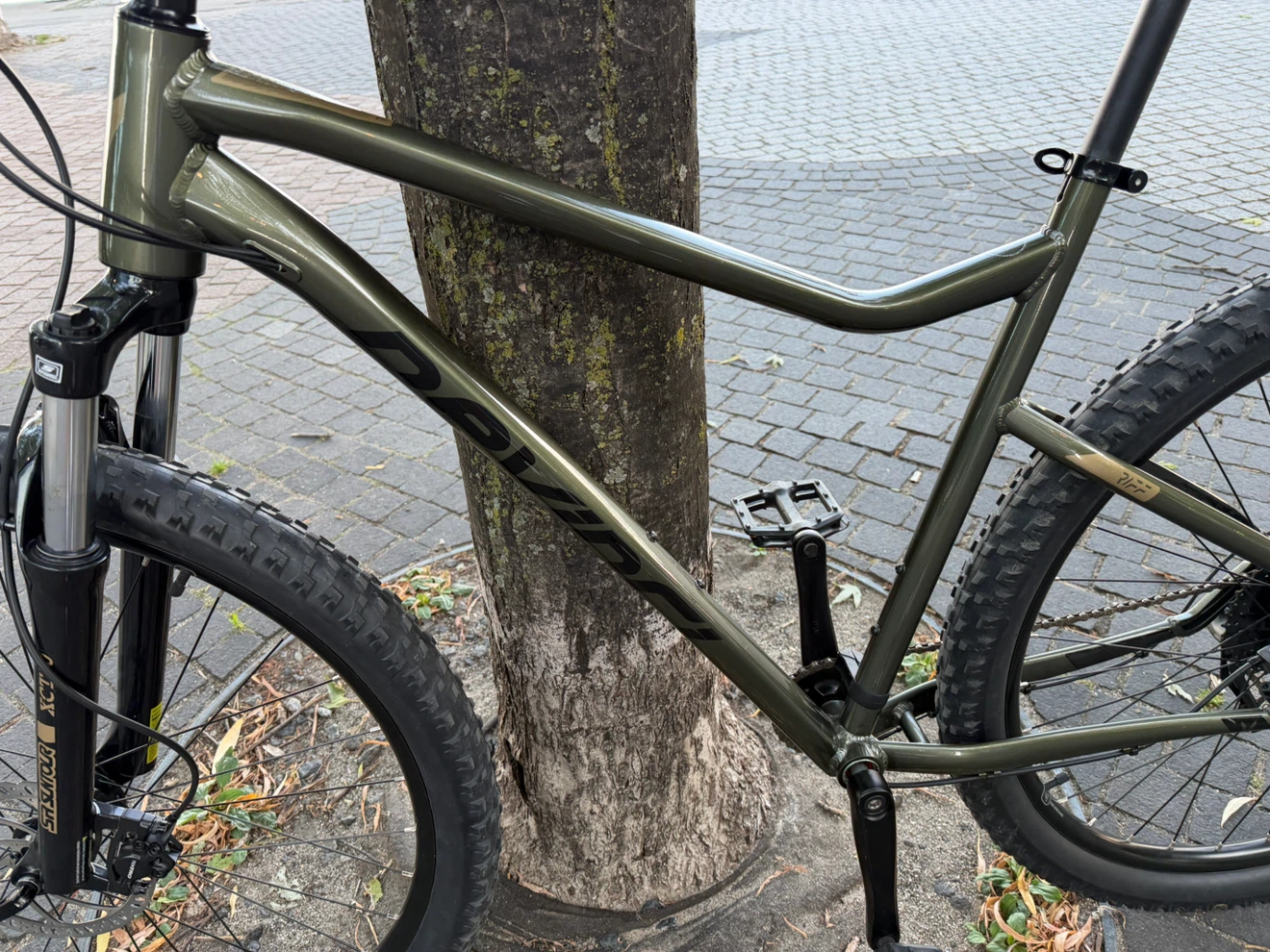 Devinci Riff Altus 9S Mountain Bike - photo 5