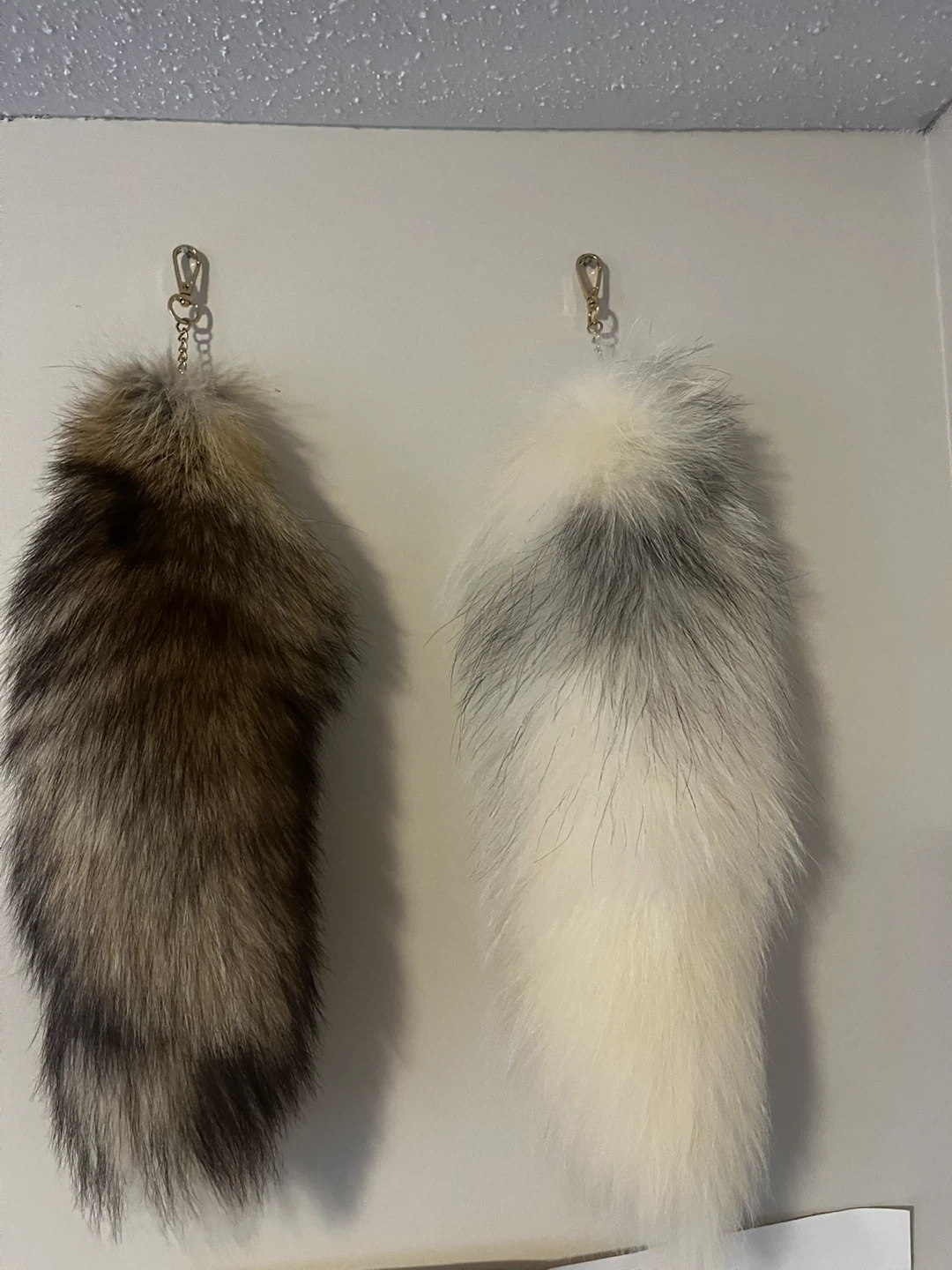 Two real fox keychains