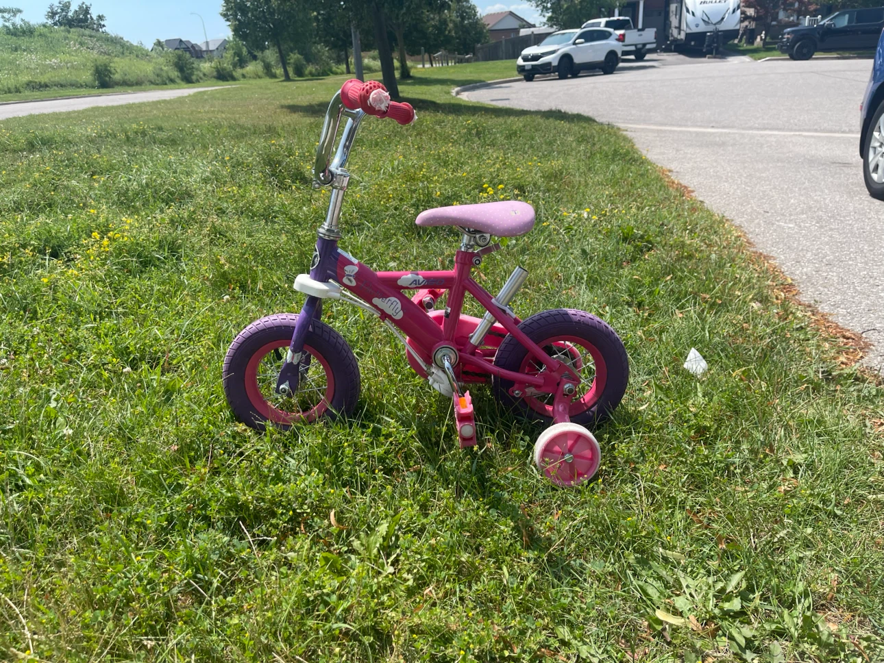 Kids Pink and Purple Training Bike