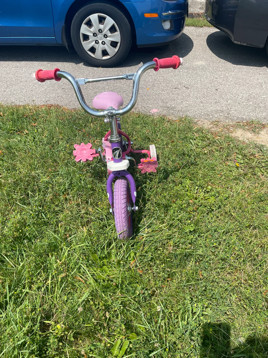Kids Pink and Purple Training Bike - photo 2