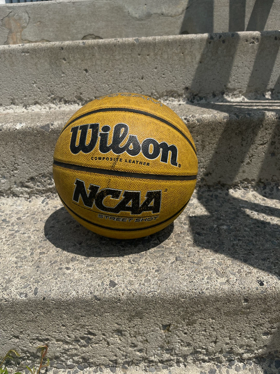 Wilson NCAA Street Shot Basketball