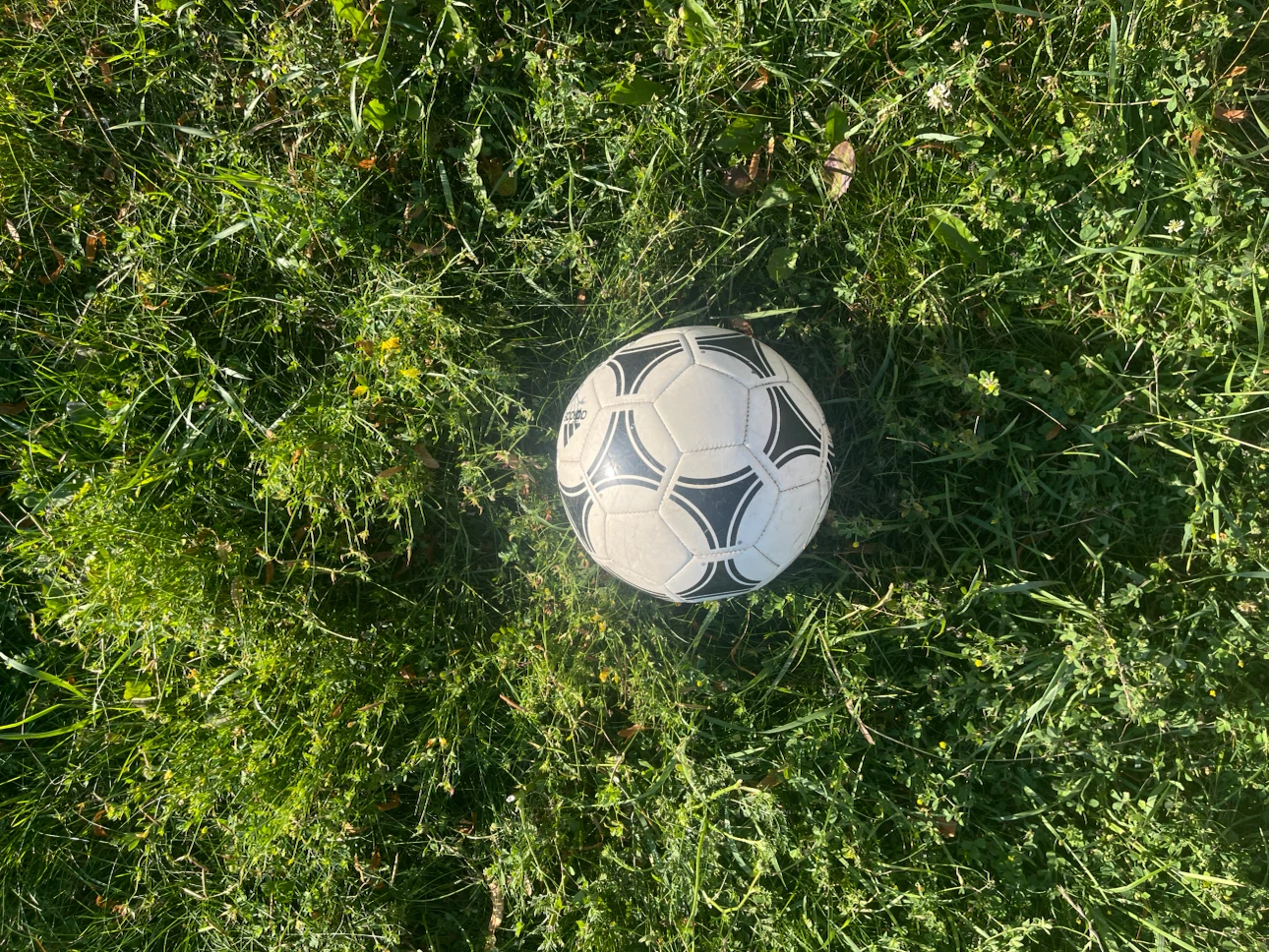 Adidas Soccer Ball