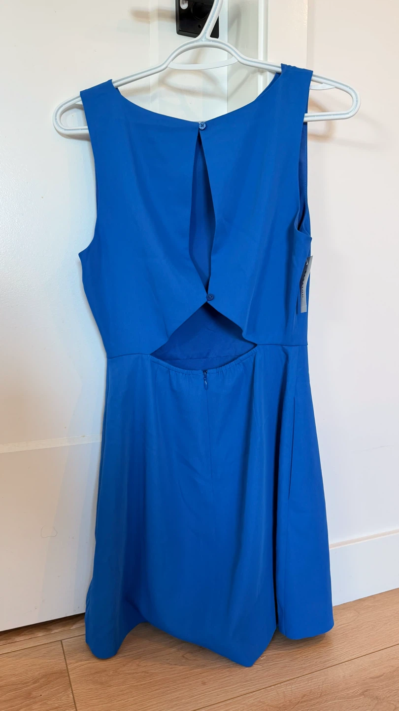 Brand new Aritzia dress (size 4)