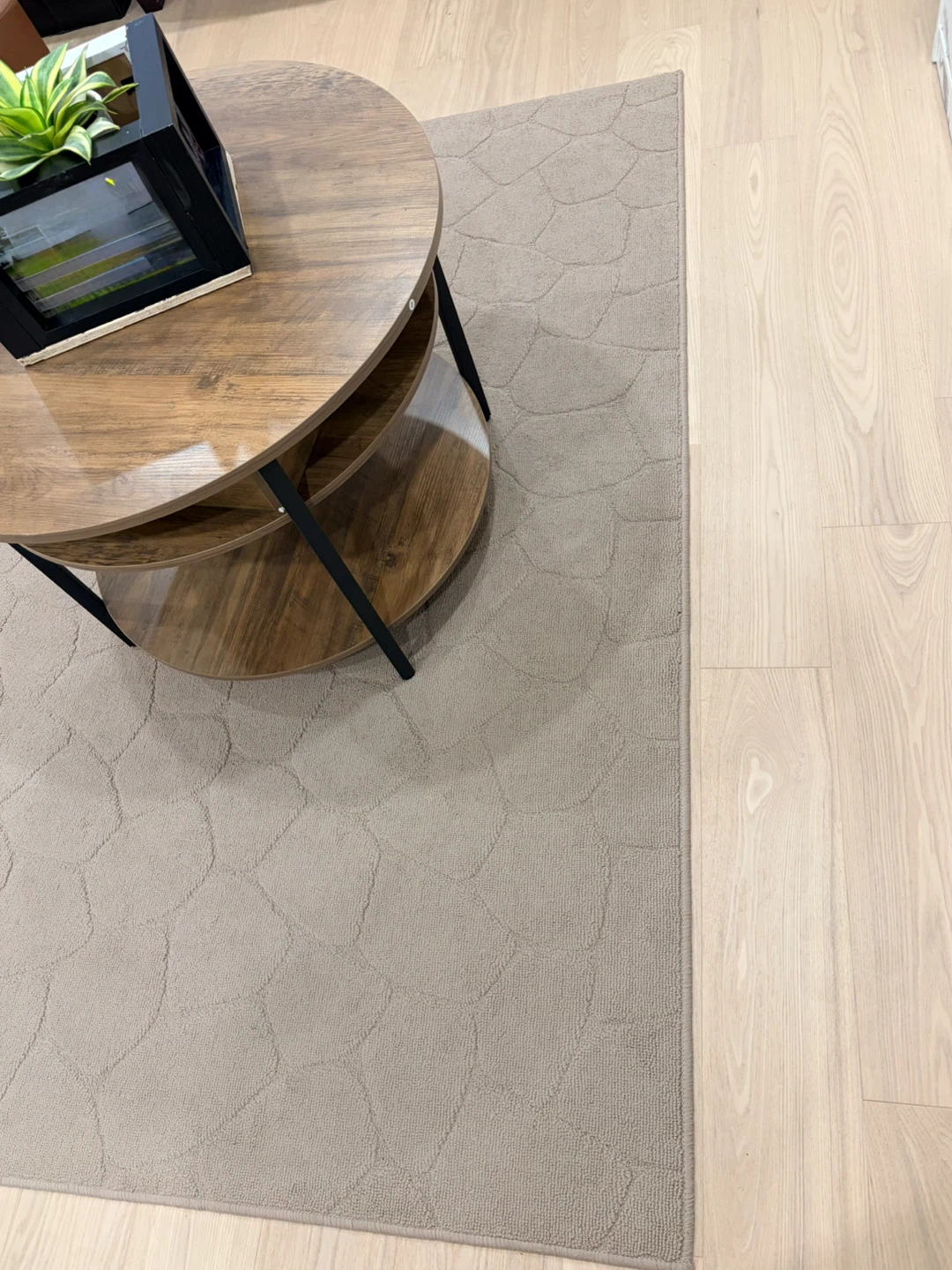 Beige Area Rug with Pebble Pattern