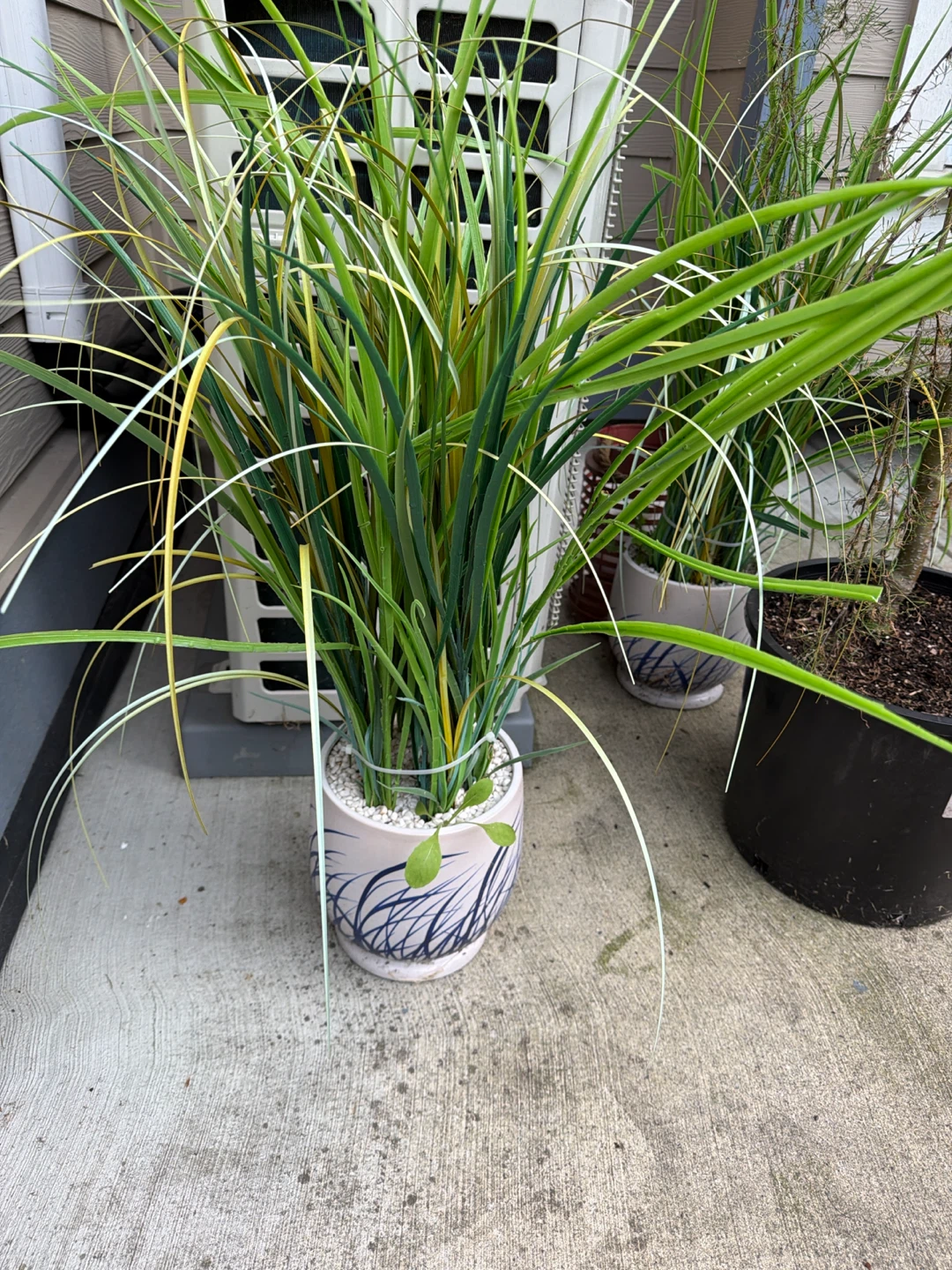 Artificial Grass Plant in Decorative Pot