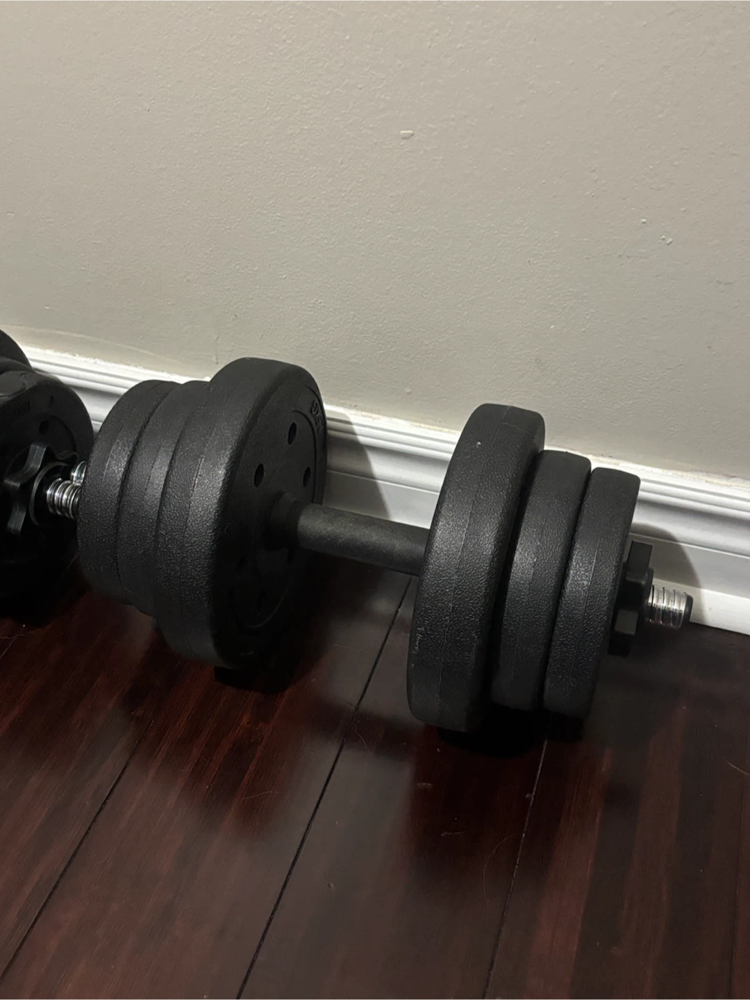 Adjustable Dumbbell Set