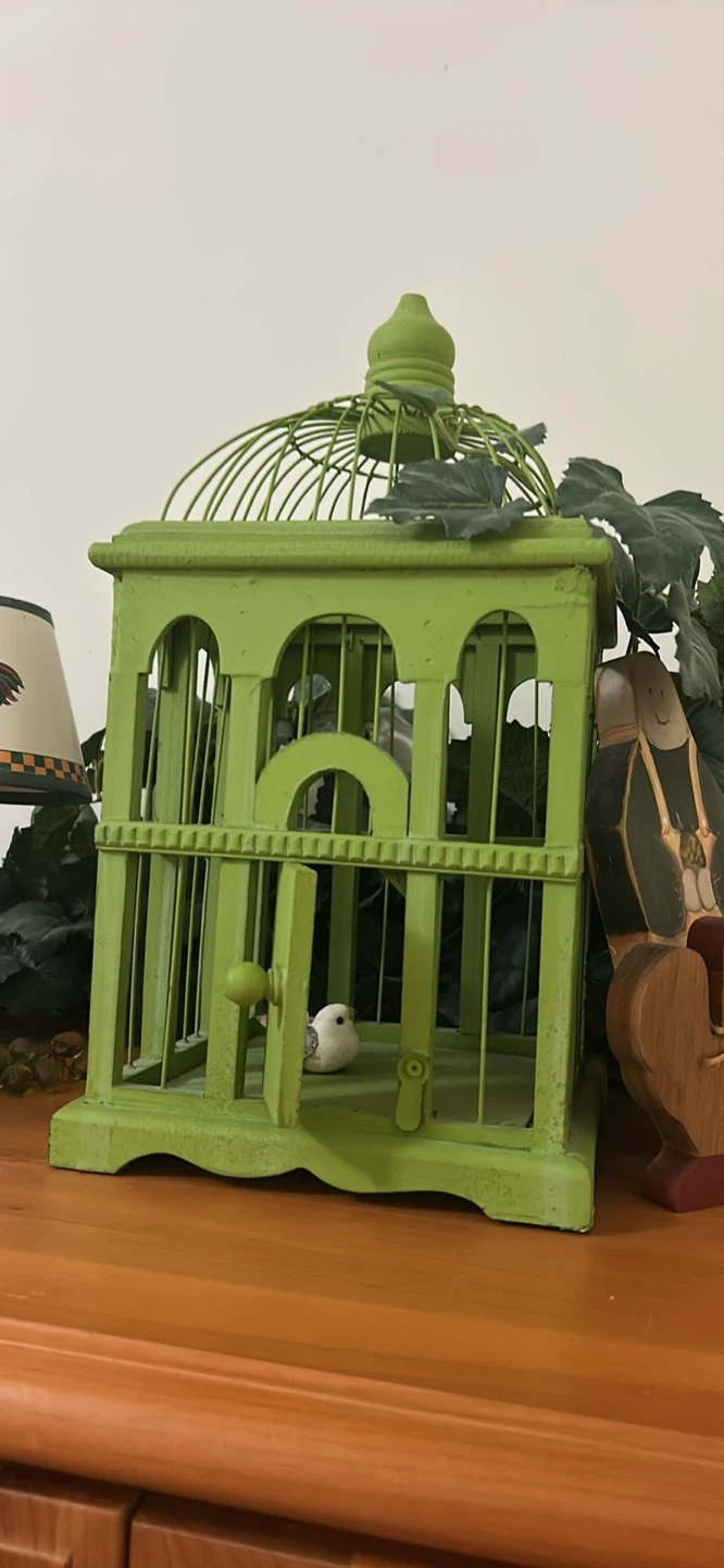 Decorative Green Bird Cage