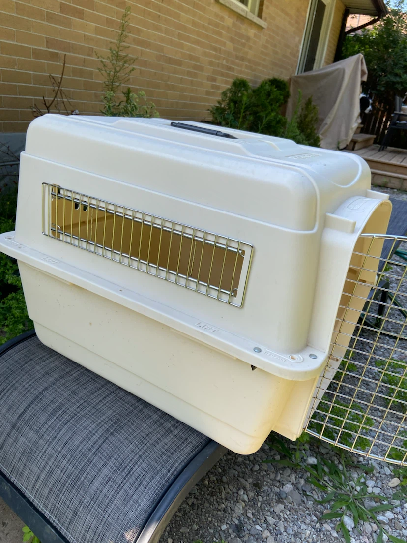 Cream Pet Carrier