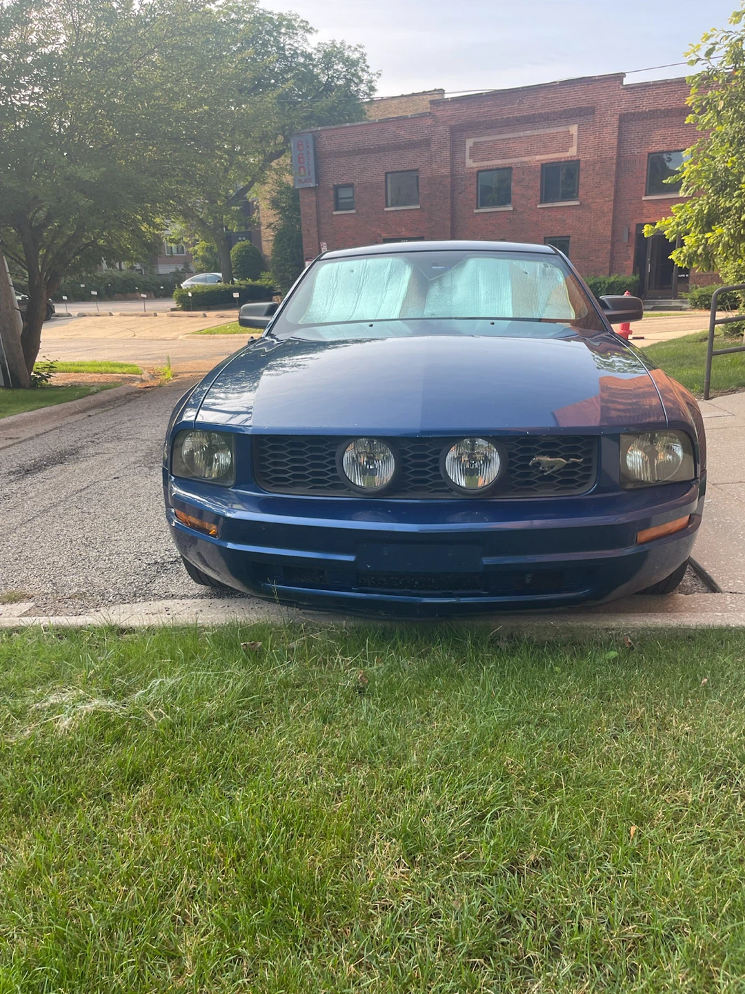 2007 Ford mustang - photo 4