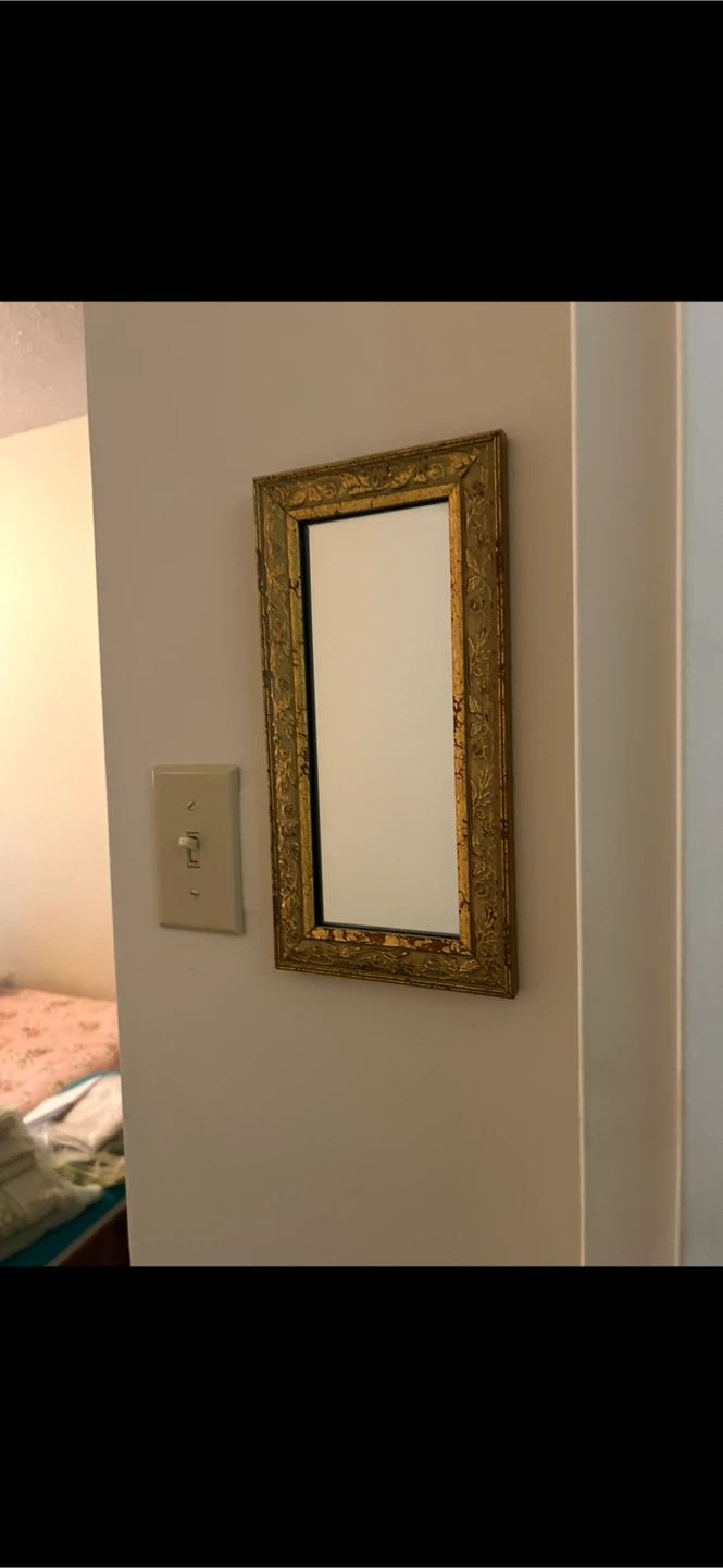 Ornate Gold and Bronze Decorative Mirrors - photo 2