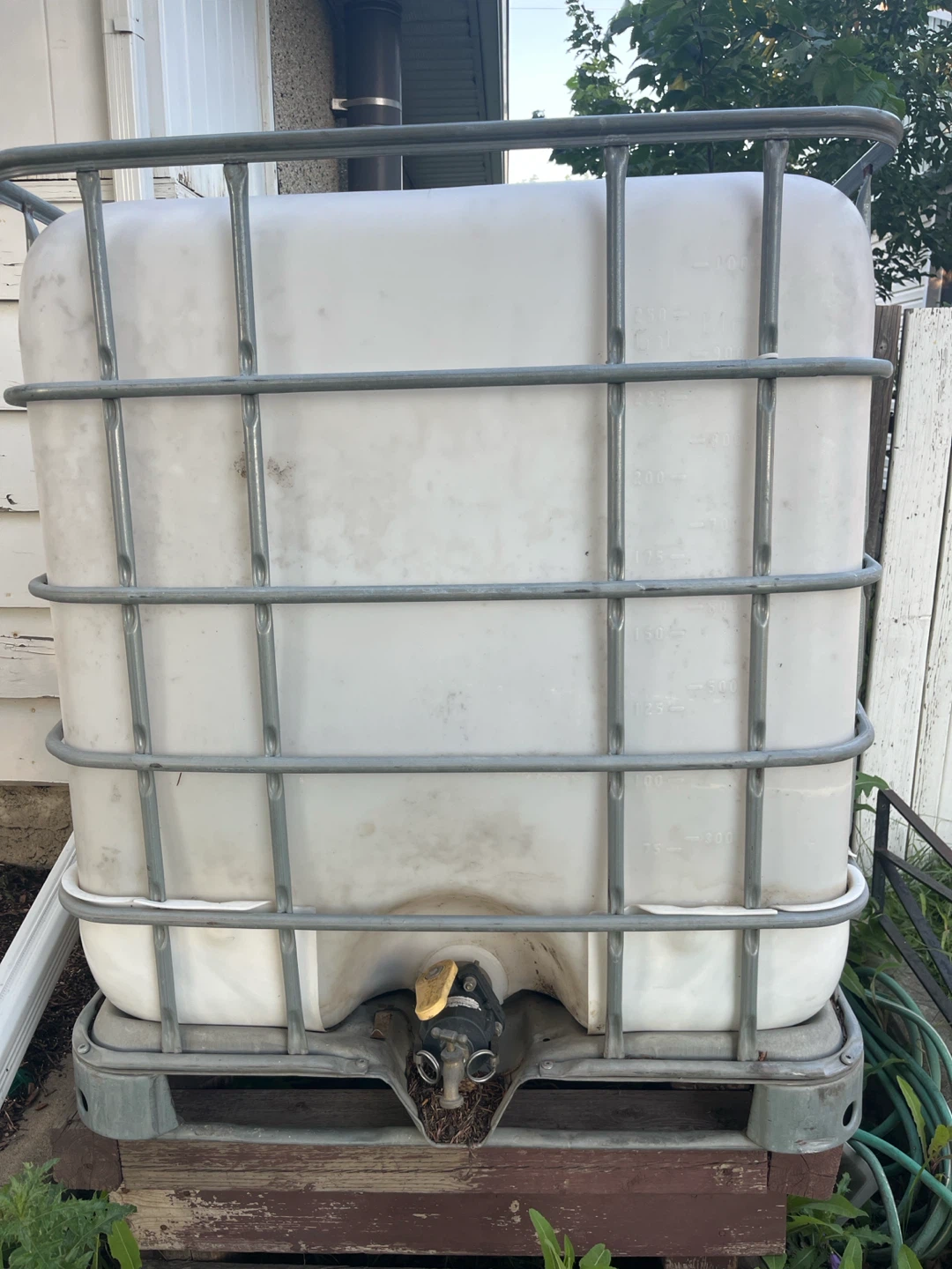 IBC Water Tank with Cage