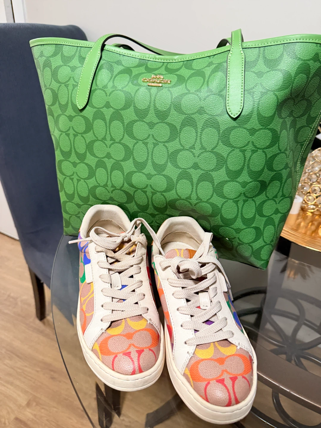 Coach Tote Bag & Rainbow Signature Sneakers Set