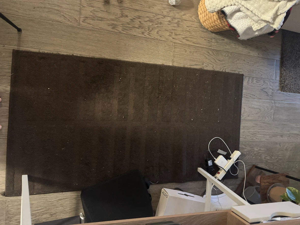 Dark Brown Area Rug