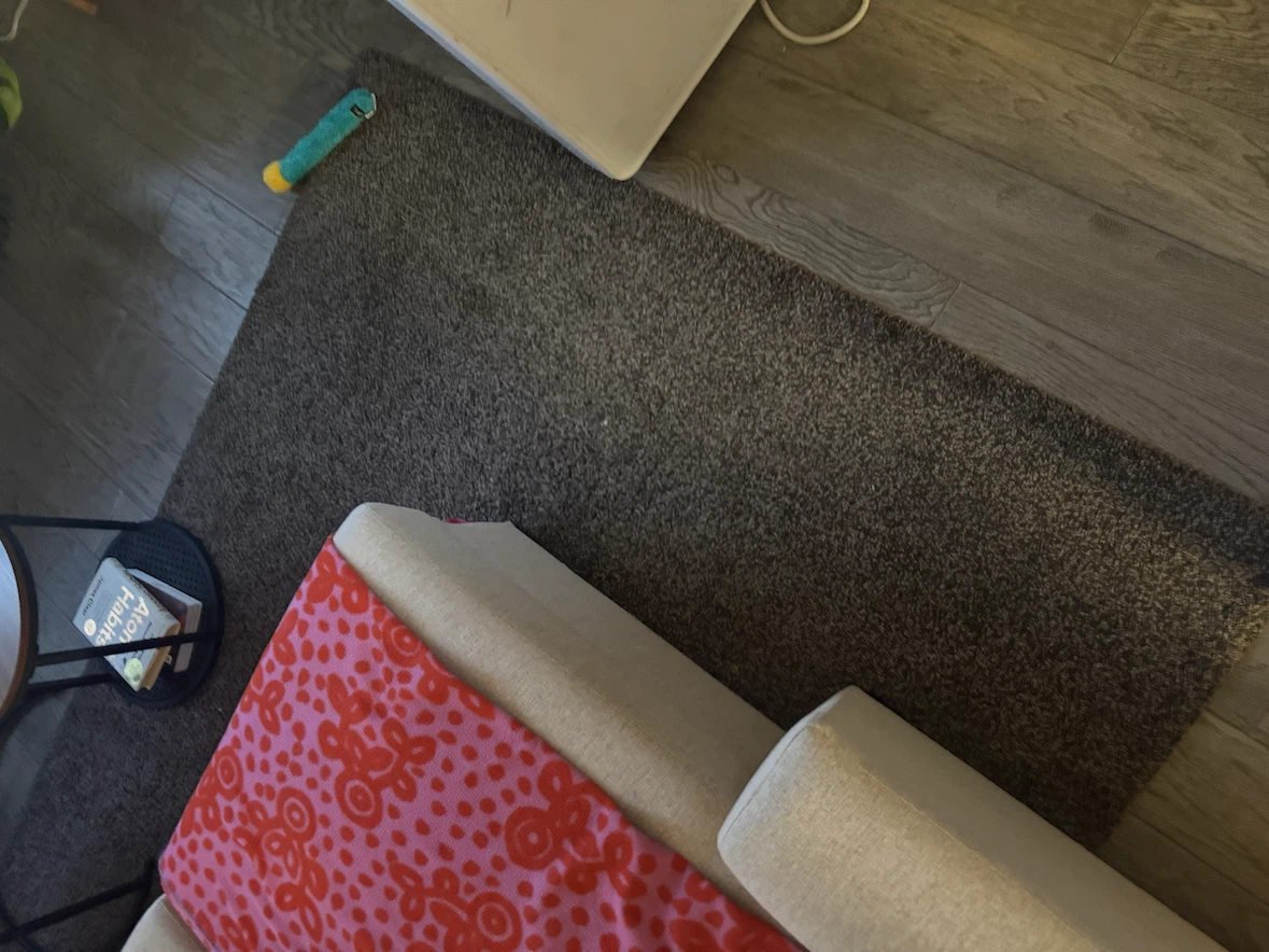 Brown living room rug