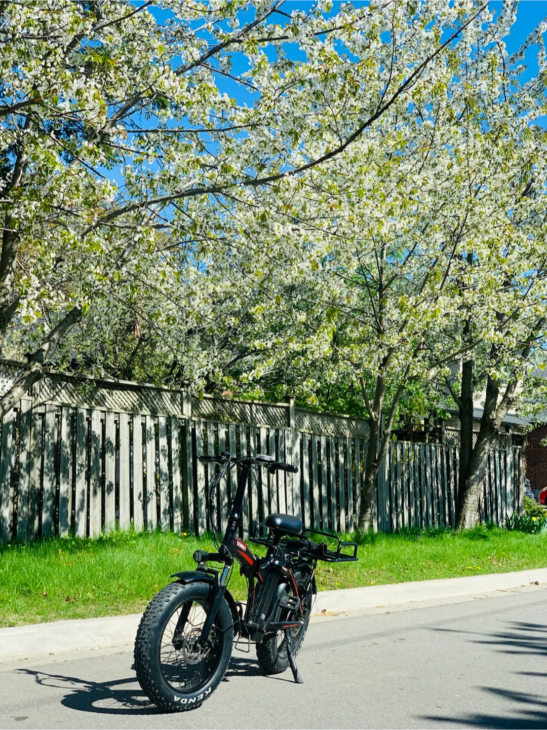 DONKEY TANK X Fat Tire Electric Bike