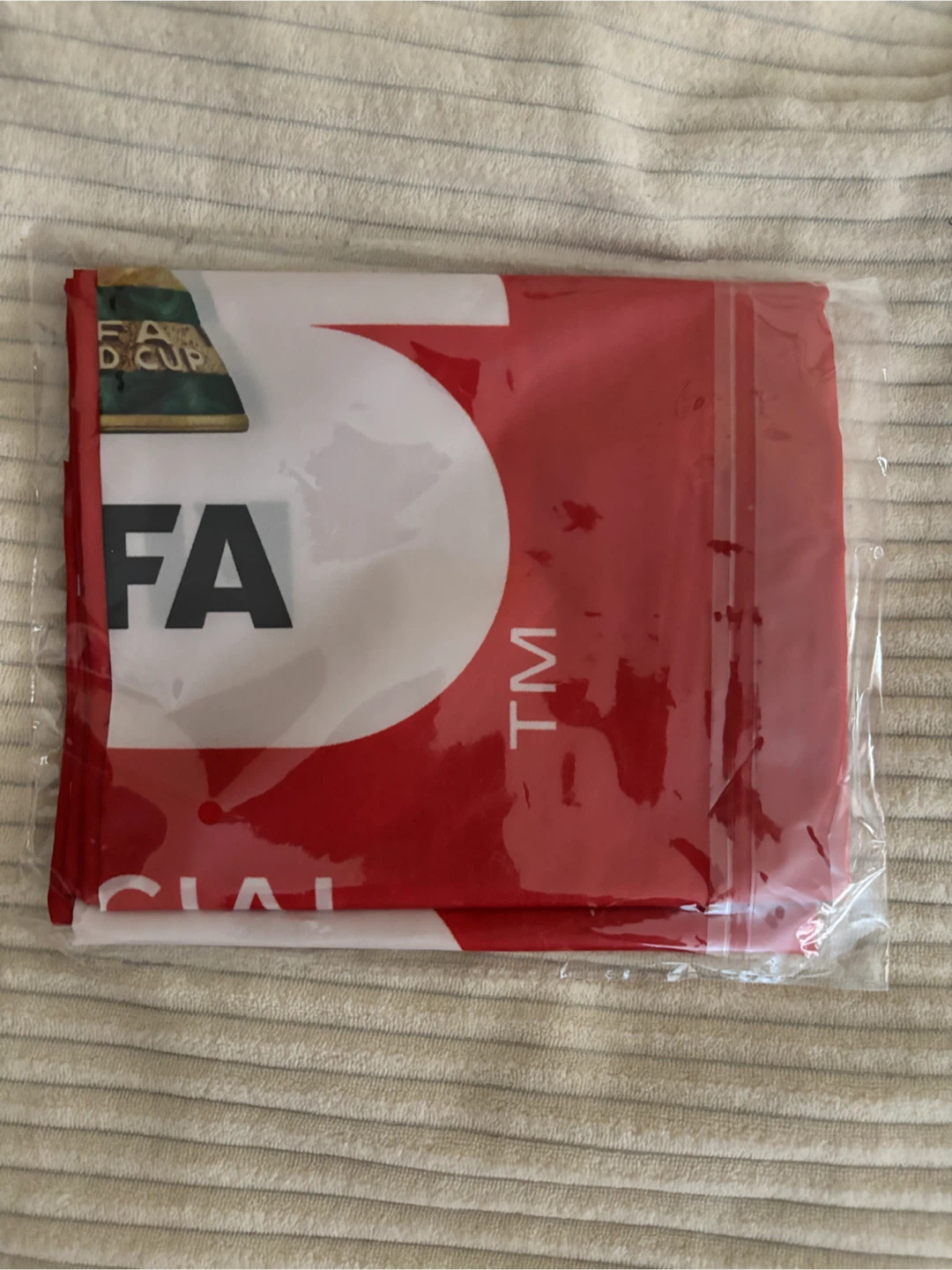 Coca-Cola FIFA Official Partner World Cup 2026 Flag
