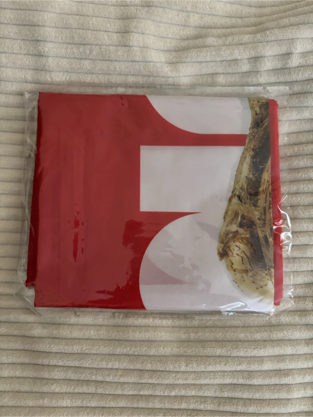 Coca-Cola FIFA Official Partner World Cup 2026 Flag - photo 2