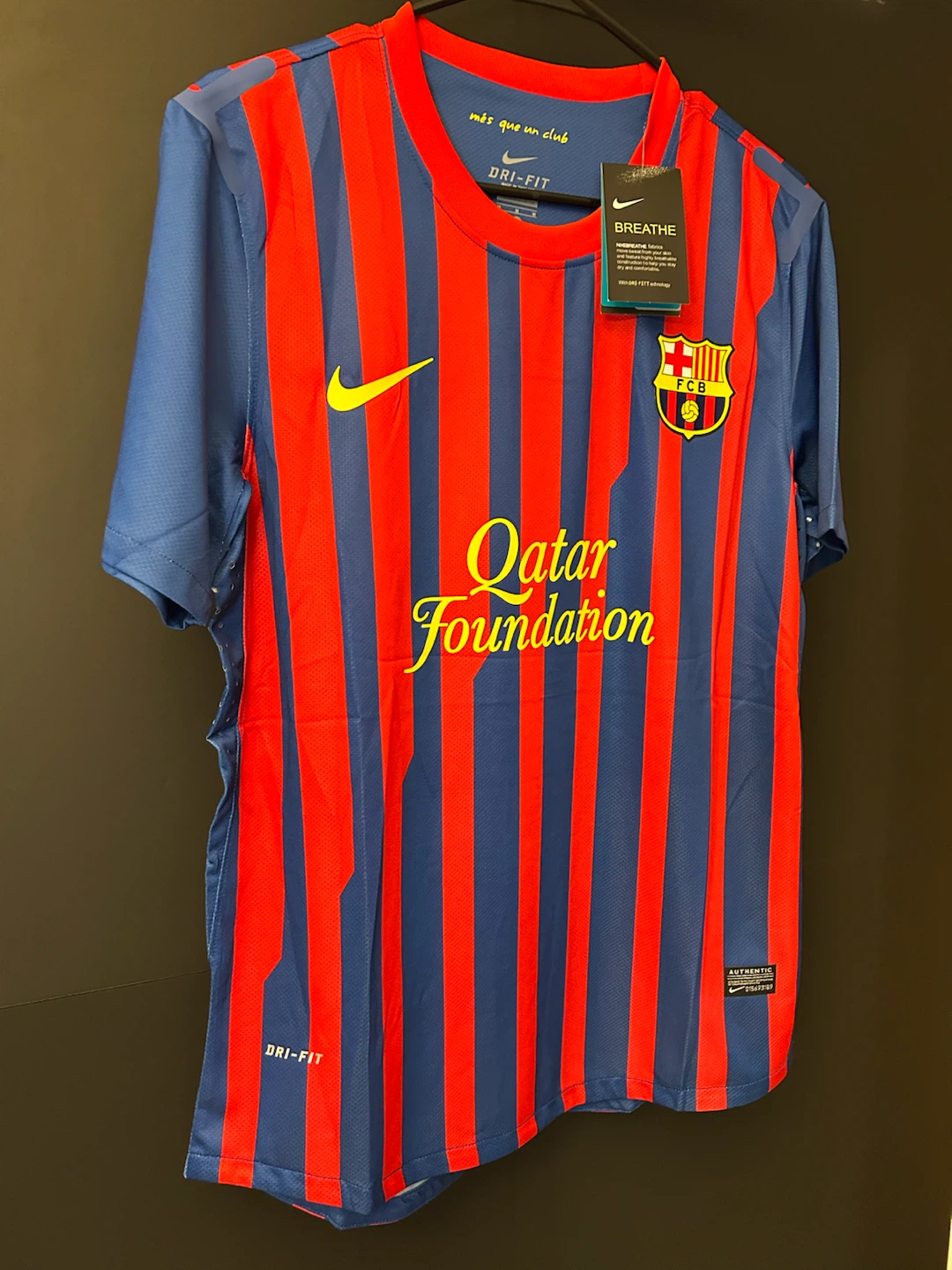 Messi FC Barcelona 2010/2011 Soccer Jersey - photo 4