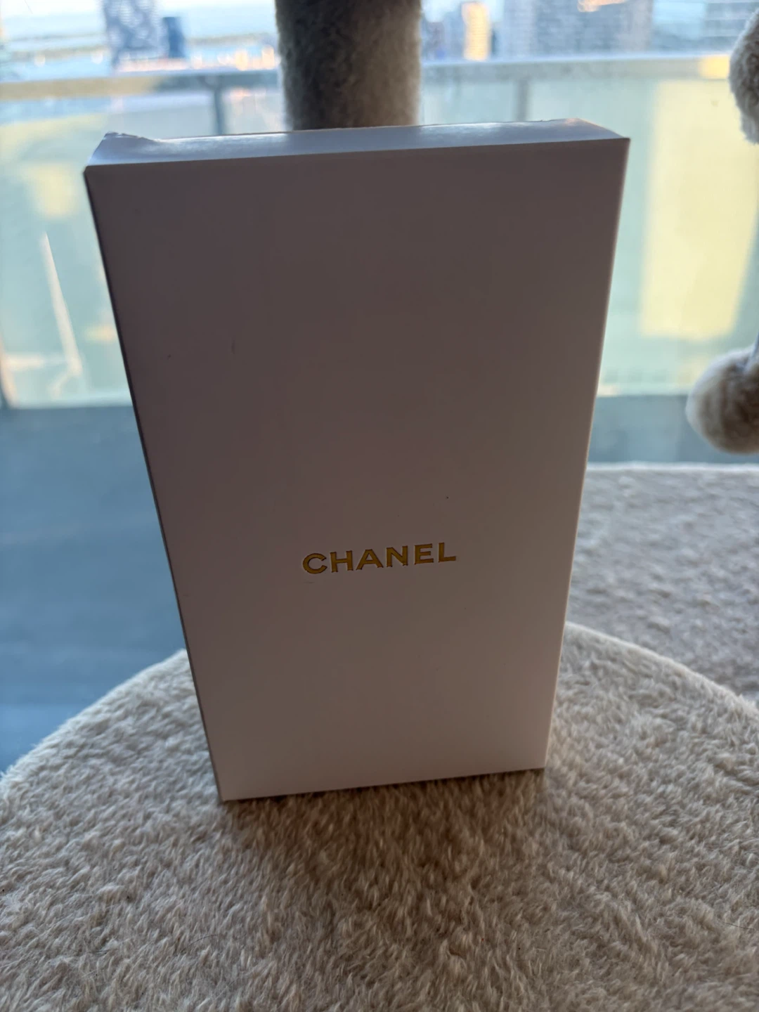 Chanel Coco Crush Chain Bag