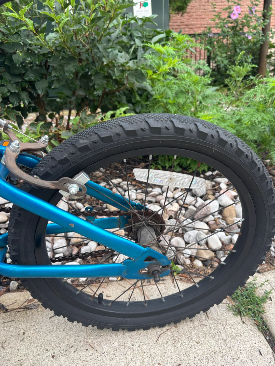 Kids Blue Bicycle - photo 3