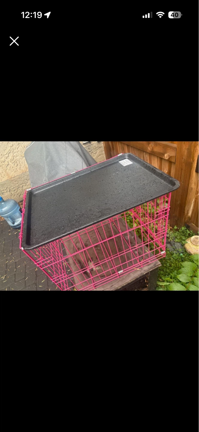 Pink Metal Dog Crate with Tray
