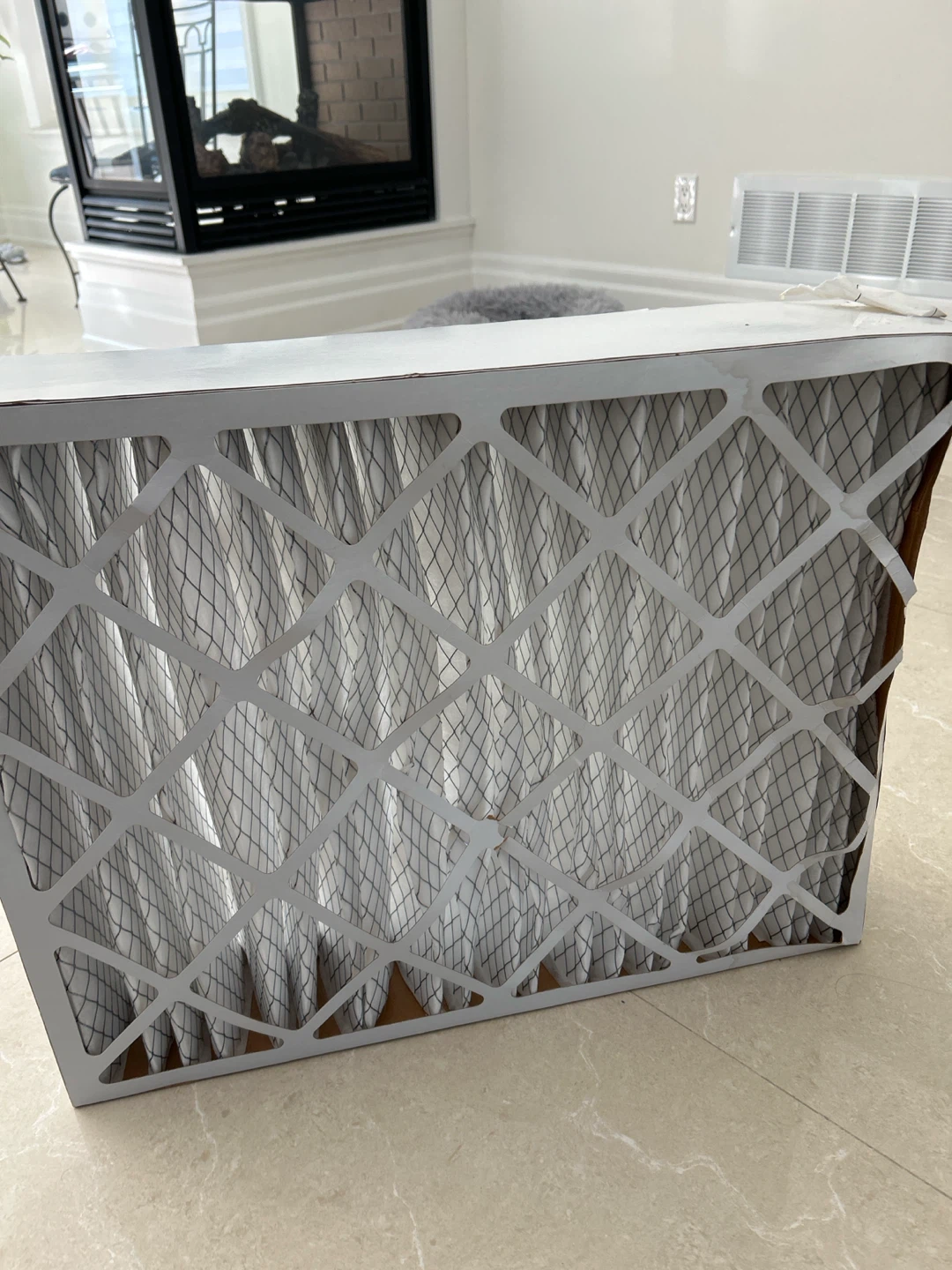 Carrier Air Filter - photo 2