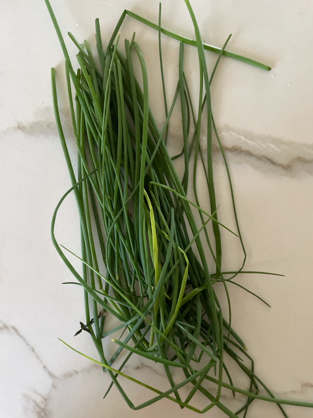 Fresh Chives from my garden