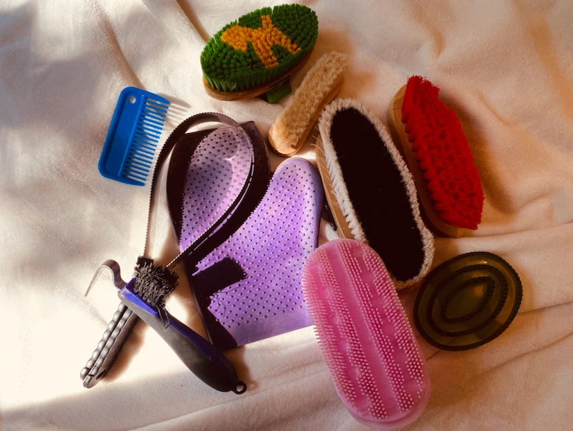 Horse Grooming Brush Set with Tote Bag