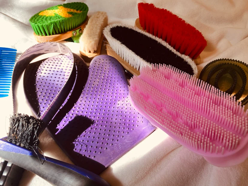 Horse Grooming Brush Set with Tote Bag - photo 2